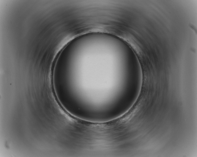 X0000098210902200804241318