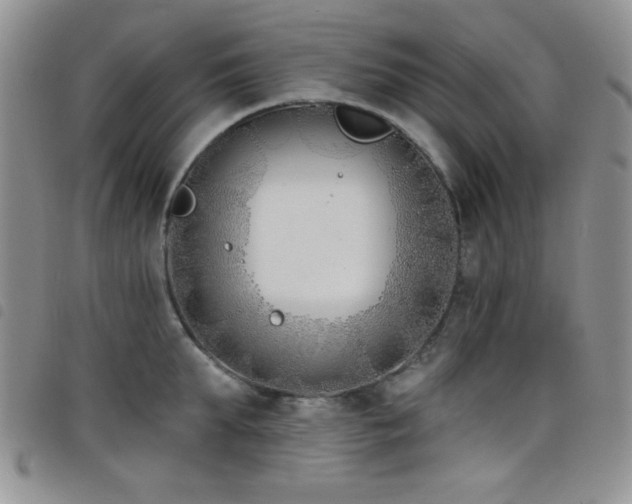 X0000098210903200804241318