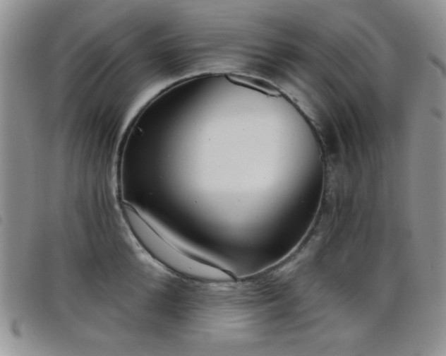 X0000098210904200804241318