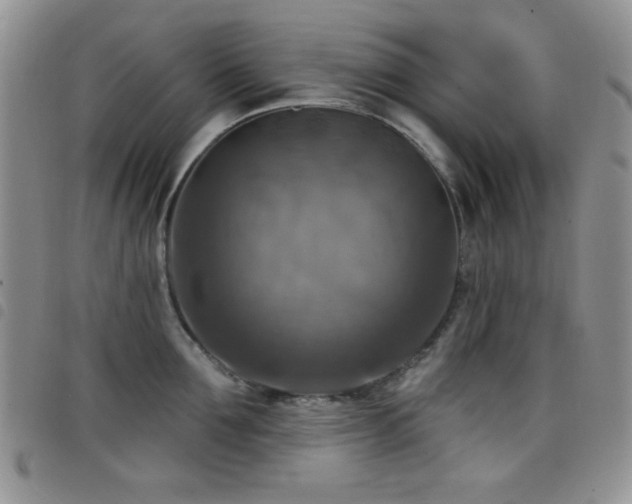 X0000098210907200804241318