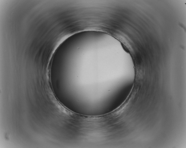 X0000098210908200804241318