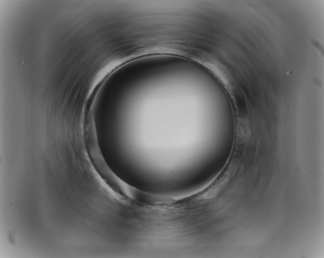 X0000098210910200804241318