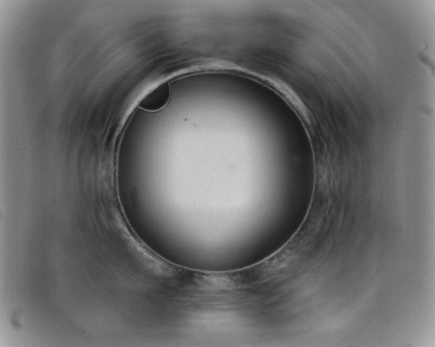 X0000098210911200804241318