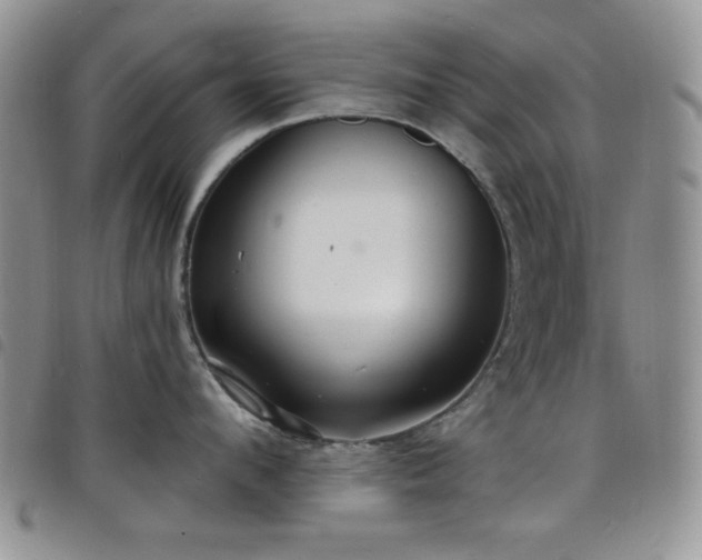 X0000098210912200804241318