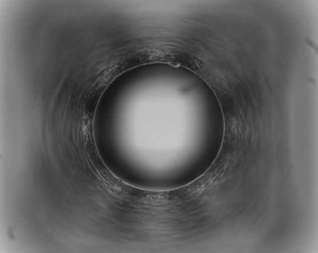 X0000098210914200804241317