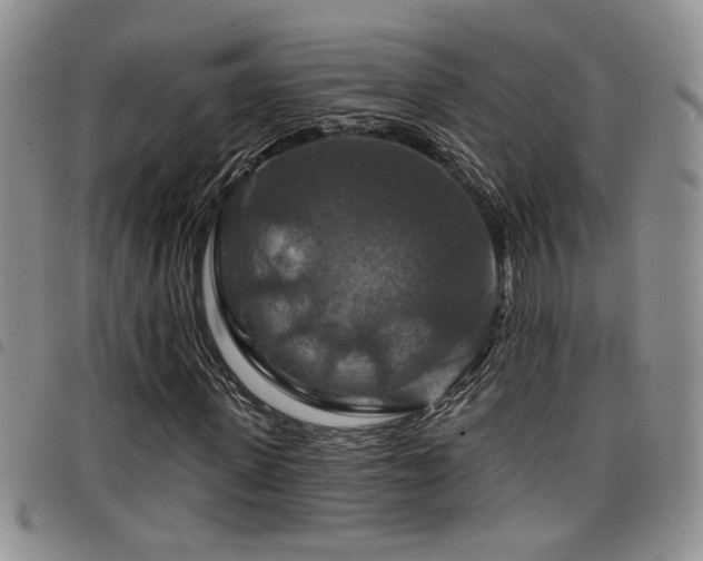 X0000098210915200804241317