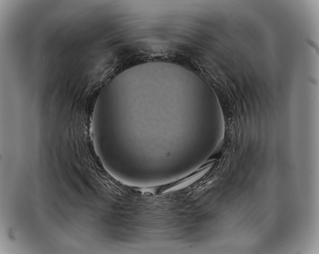 X0000098210916200804241317
