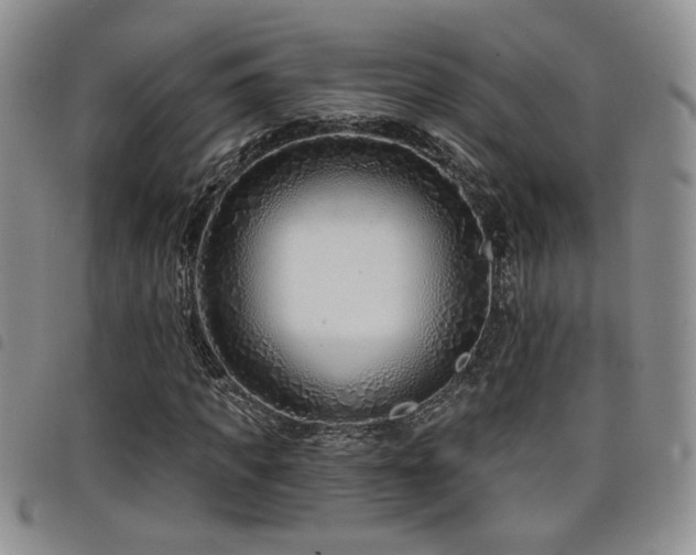 X0000098210917200804241317