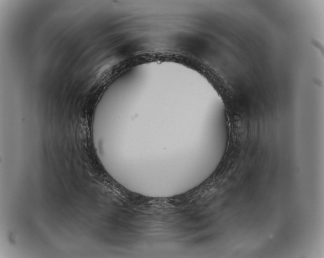 X0000098210918200804241317