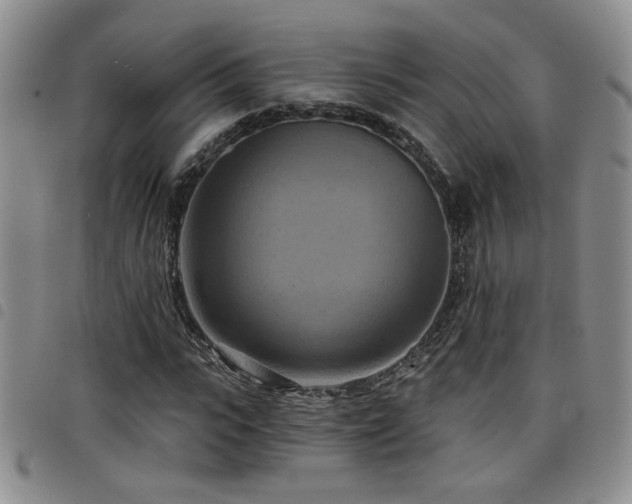 X0000098210919200804241317