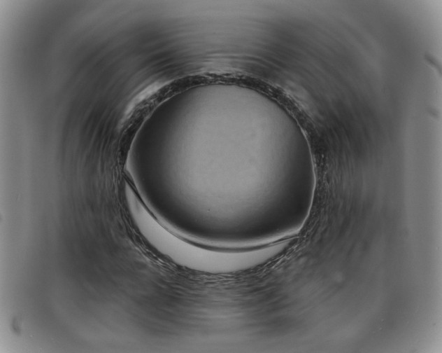 X0000098210920200804241317