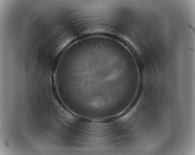 X0000098210921200804241317
