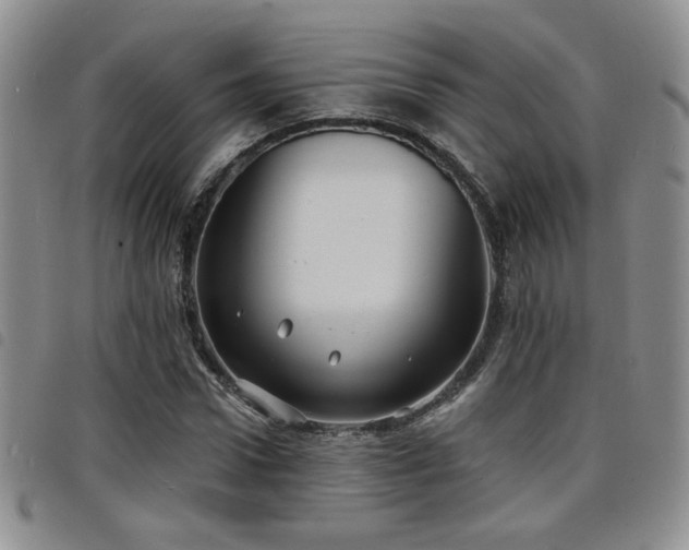 X0000098210922200804241317