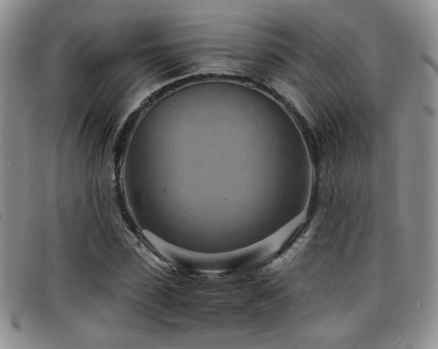 X0000098210923200804241317