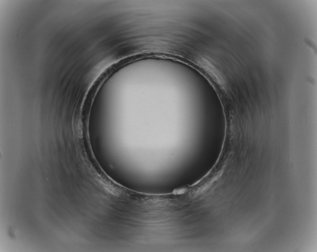 X0000098210924200804241317