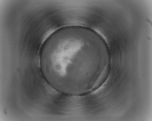 X0000098210925200804241317