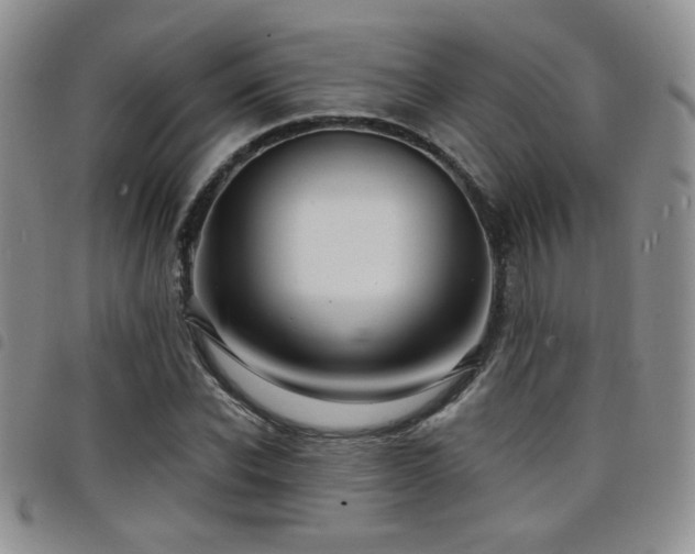 X0000098210926200804241317