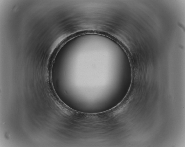 X0000098210927200804241317