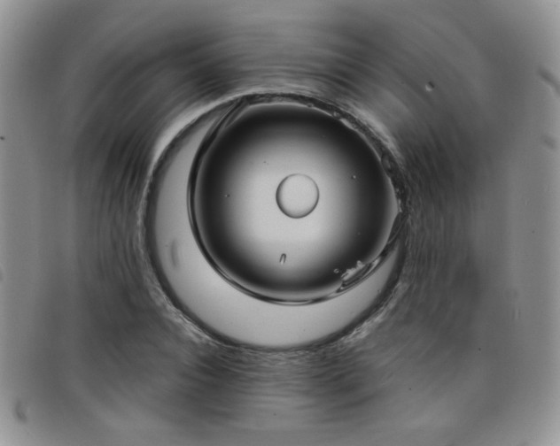 X0000098210928200804241317