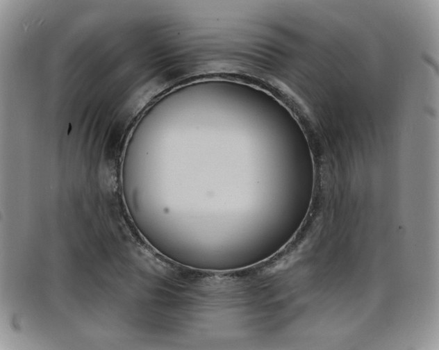 X0000098210929200804241317