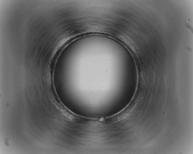 X0000098210931200804241317