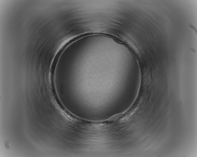 X0000098210932200804241317