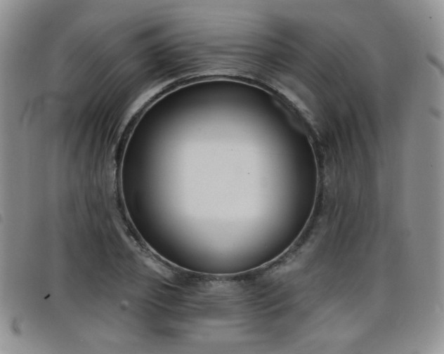 X0000098210933200804241317