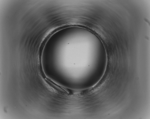 X0000098210934200804241317