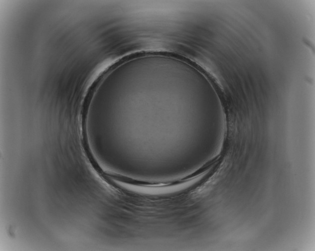 X0000098210935200804241317