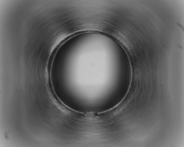 X0000098210936200804241317