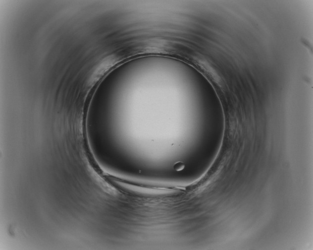 X0000098210938200804241318