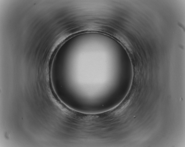 X0000098210939200804241318