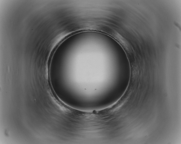 X0000098210940200804241318