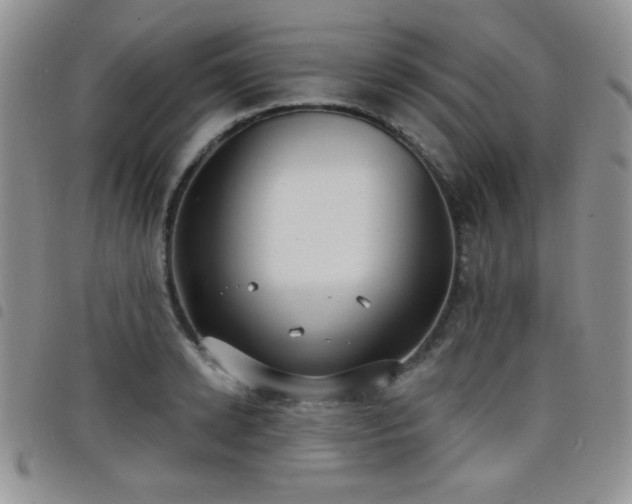 X0000098210942200804241318