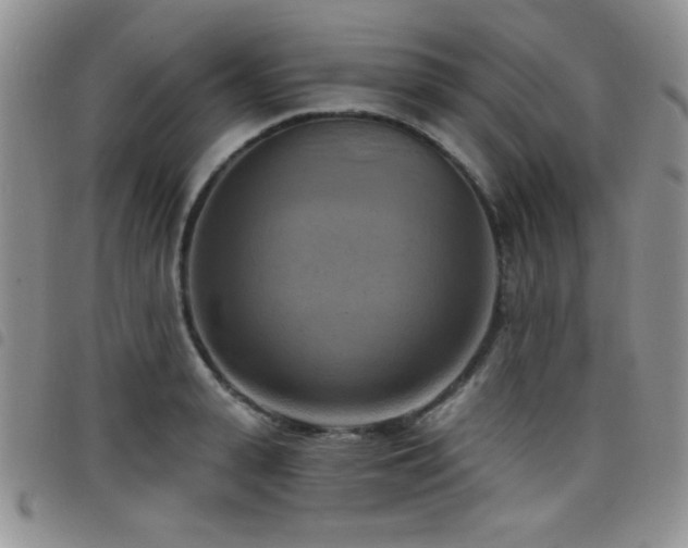 X0000098210943200804241318