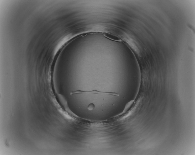 X0000098210944200804241318