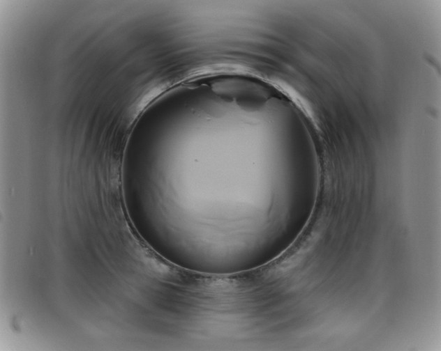 X0000098210945200804241318
