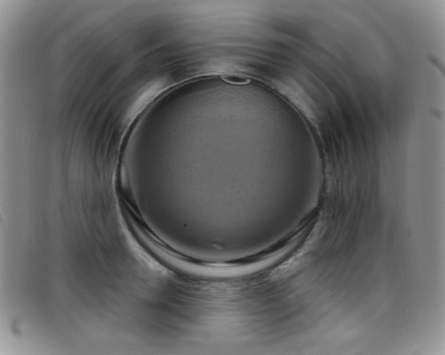X0000098210946200804241318
