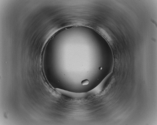 X0000098210948200804241318