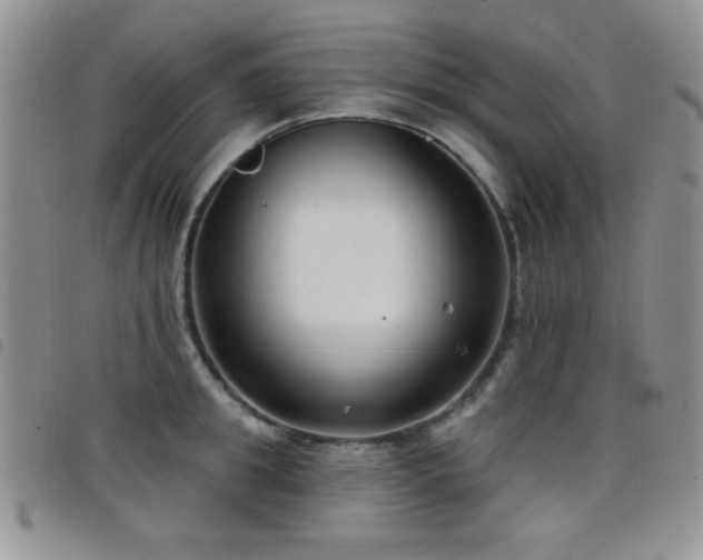 X0000098210949200804241318