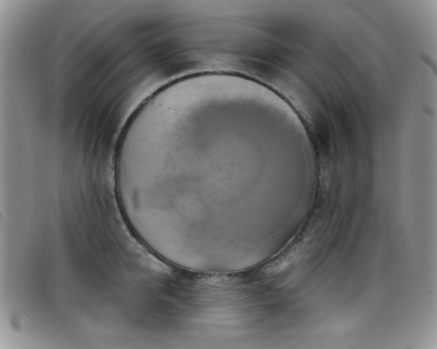 X0000098210950200804241318