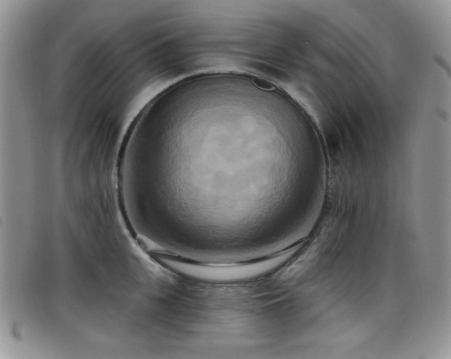 X0000098210951200804241318