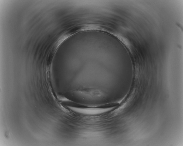X0000098210953200804241318