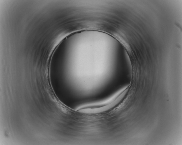 X0000098210956200804241318
