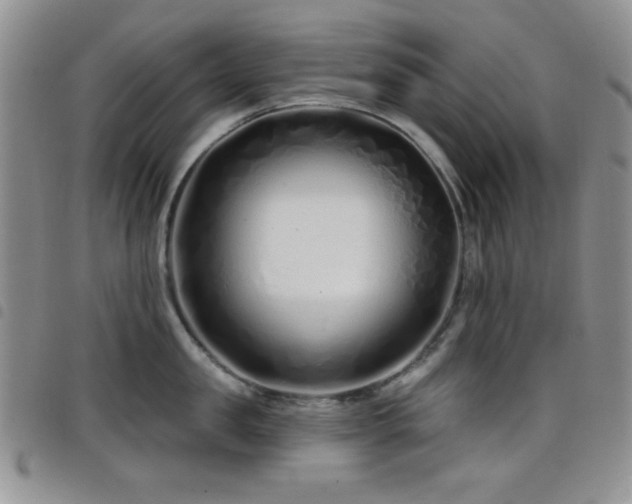 X0000098210957200804241318