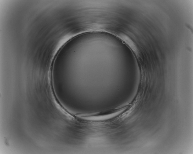 X0000098210958200804241318