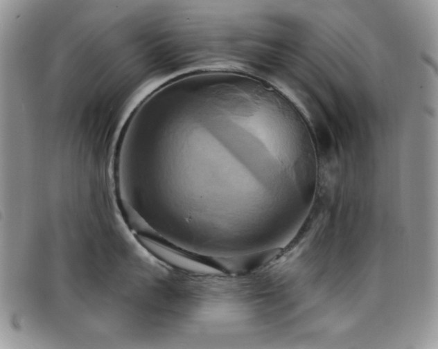 X0000098210959200804241318