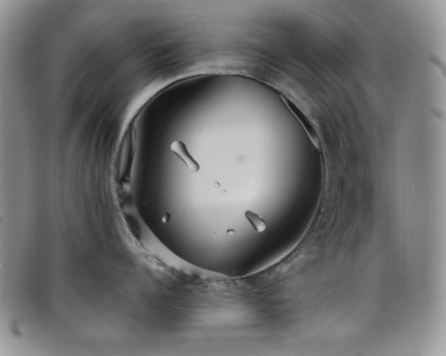 X0000098210960200804241318
