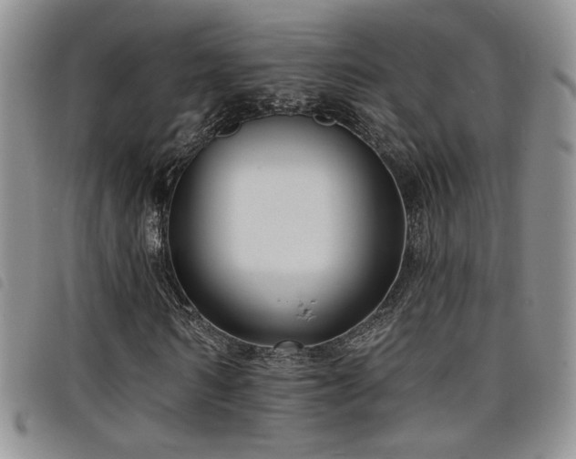 X0000098210962200804241317