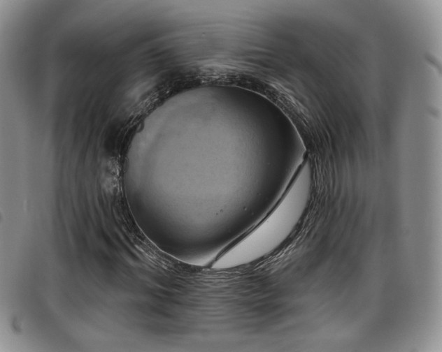 X0000098210964200804241317